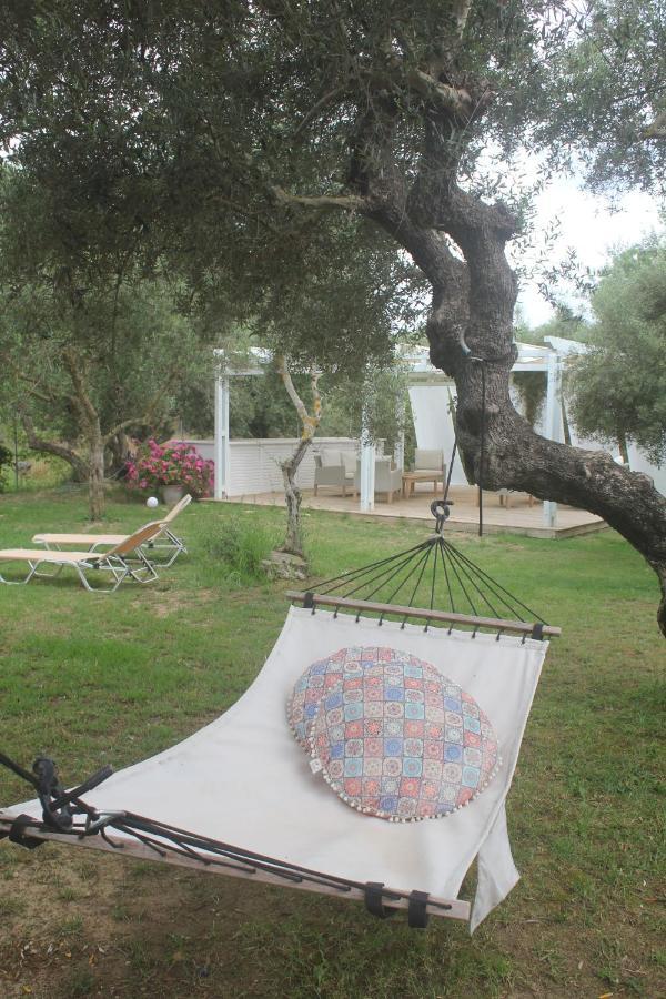 Rodis Studios Tsilivi  Buitenkant foto